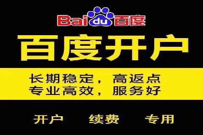 竞价排名广告投放案例